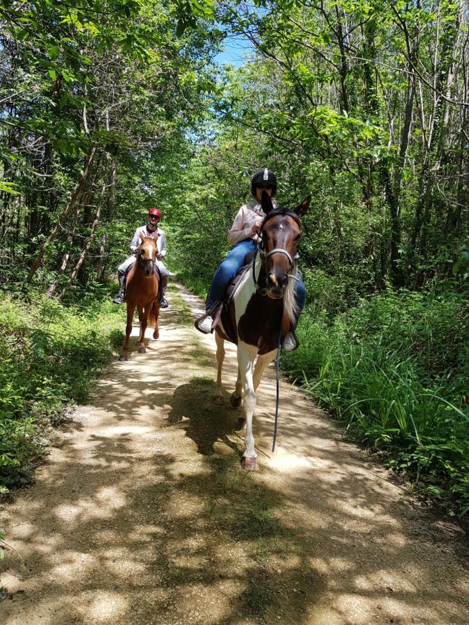 Gite Equestre Domaine Des Crins - Monpazier Capdrot Eksteriør bilde