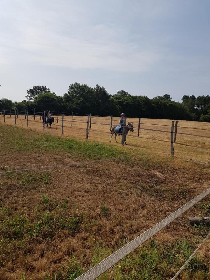 Gite Equestre Domaine Des Crins - Monpazier Capdrot Eksteriør bilde