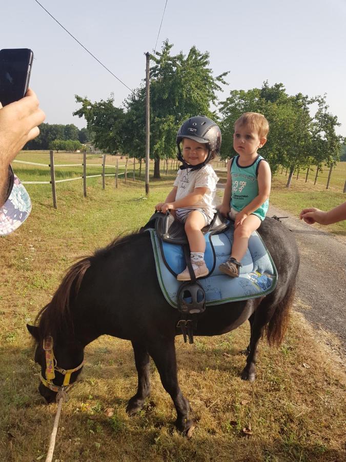 Gite Equestre Domaine Des Crins - Monpazier Capdrot Eksteriør bilde