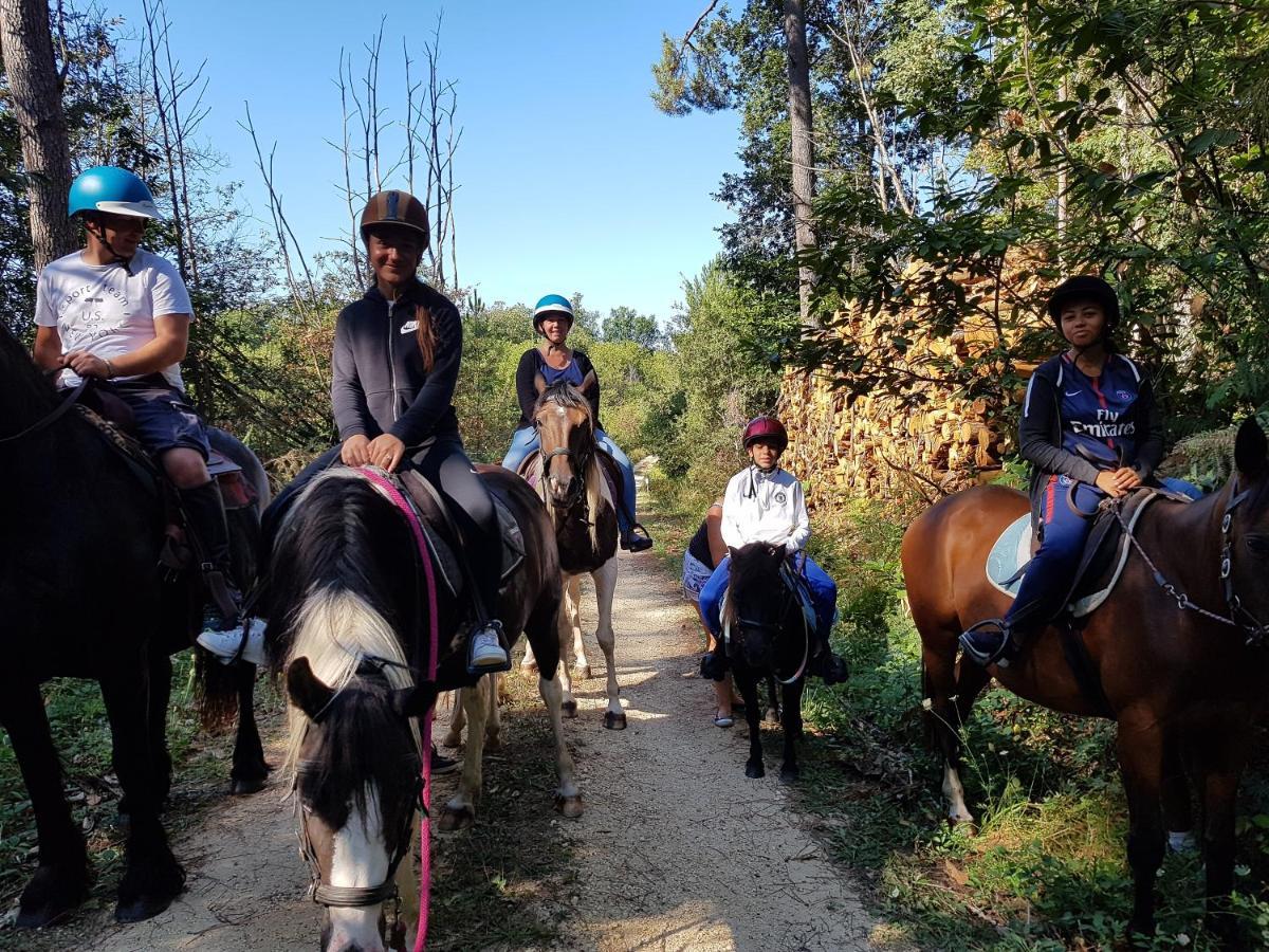 Gite Equestre Domaine Des Crins - Monpazier Capdrot Eksteriør bilde