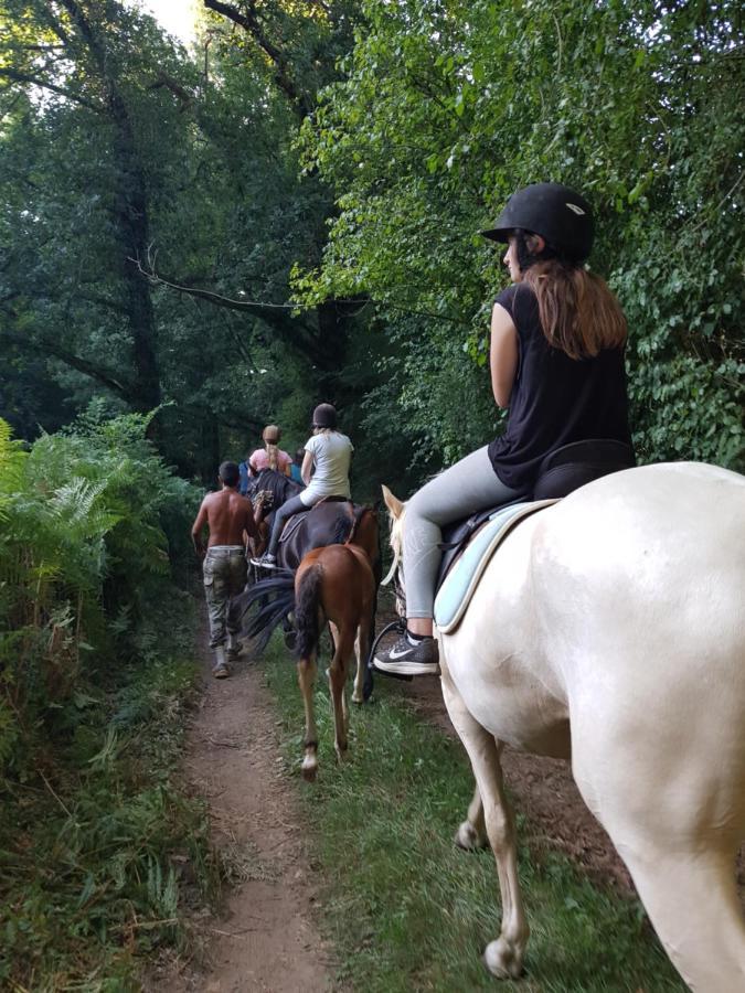 Gite Equestre Domaine Des Crins - Monpazier Capdrot Eksteriør bilde
