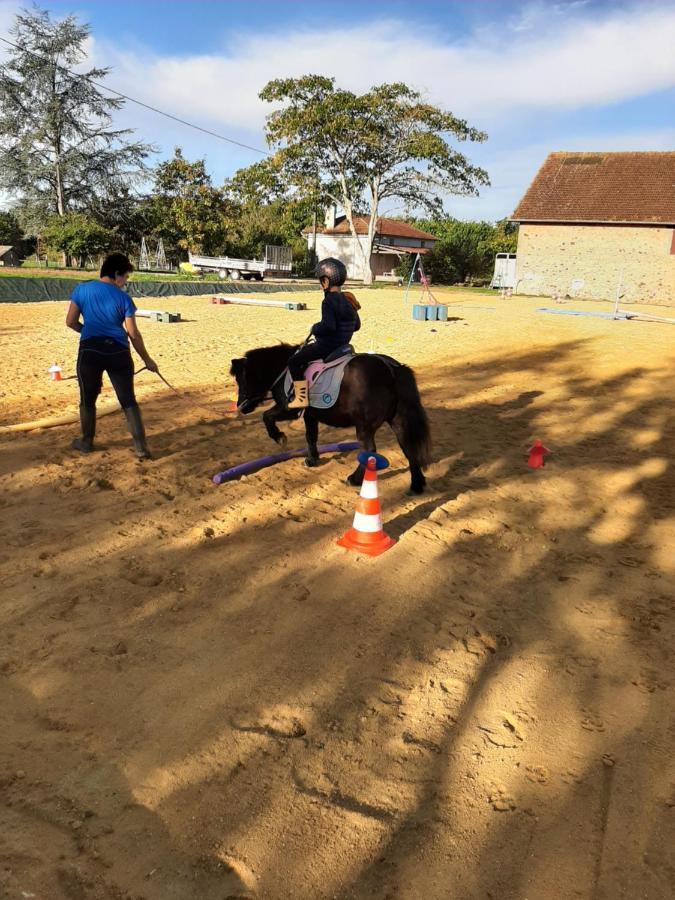 Gite Equestre Domaine Des Crins - Monpazier Capdrot Eksteriør bilde