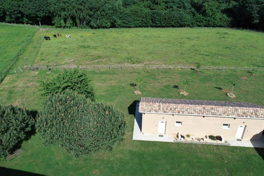 Gite Equestre Domaine Des Crins - Monpazier Capdrot Eksteriør bilde